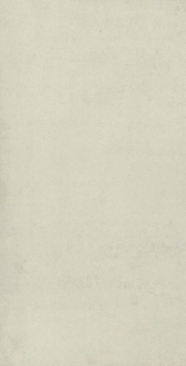 Regal Light Grey Polished (GMR81PN) (GGMR81PN0) (1.08 sq.m.) 30x60 cm.