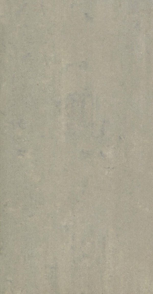 Regal Grey Matt (GMR82MP) (GGMR82MP0) (1.08 sq.m.) 30x60 cm.