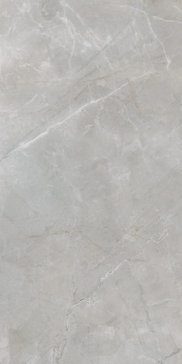 Lux Arctic Grey Matt (GLX17MP) (GGLX17MP0) (1.44 sq.m.) 60x120 cm.