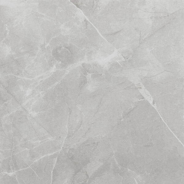 Lux Arctic Grey Polished (GLX17PN) (GGLX17PN0) (1.44 sq.m.) 60x60 cm.