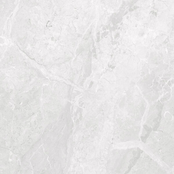 Leo Grigio Satin Matt (1.44 sq.m.) 60x60 cm.