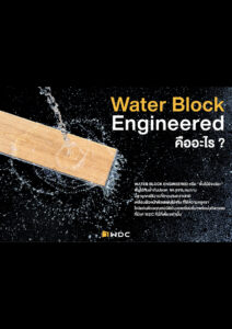 แค็ตตาล็อก Water Block Engineered